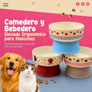 Comedero y bebedero