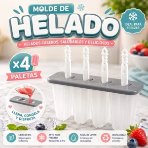 Molde de Helado x4 Tapa Gris